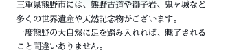 三重県熊野市には、熊野古道や獅子岩、鬼ヶ城など多くの世界遺産や天然記念物がございます。一度熊野の大自然に足を踏み入れれば、魅了されること間違いありません。