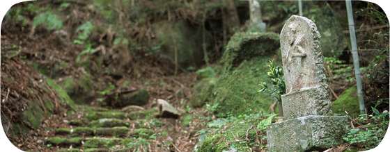 世界遺産 熊野古道 観音道｜三重県熊野市の観光地